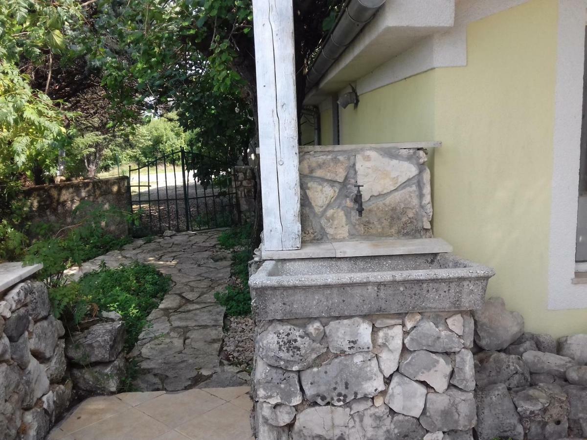 Lavanda Gabonjin Bagian luar foto