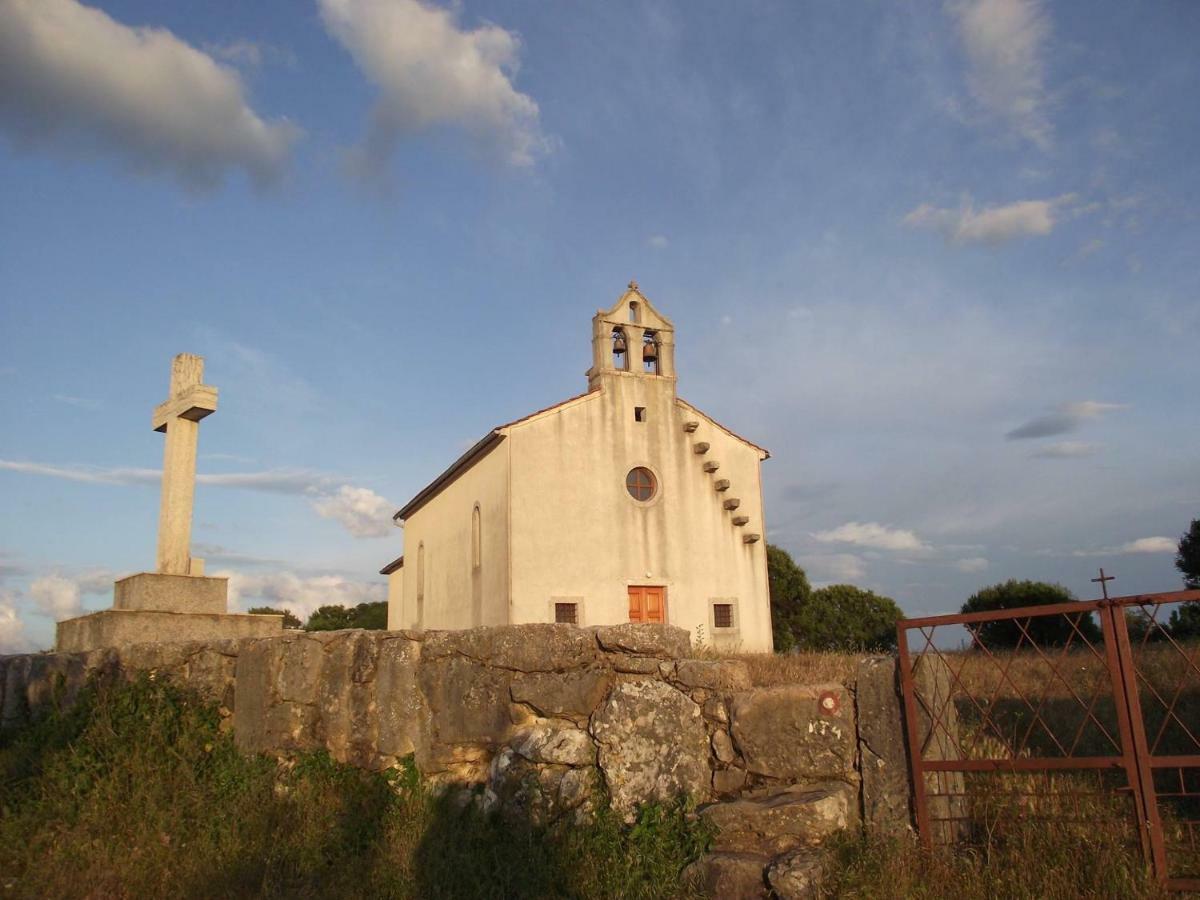 Lavanda Gabonjin Bagian luar foto