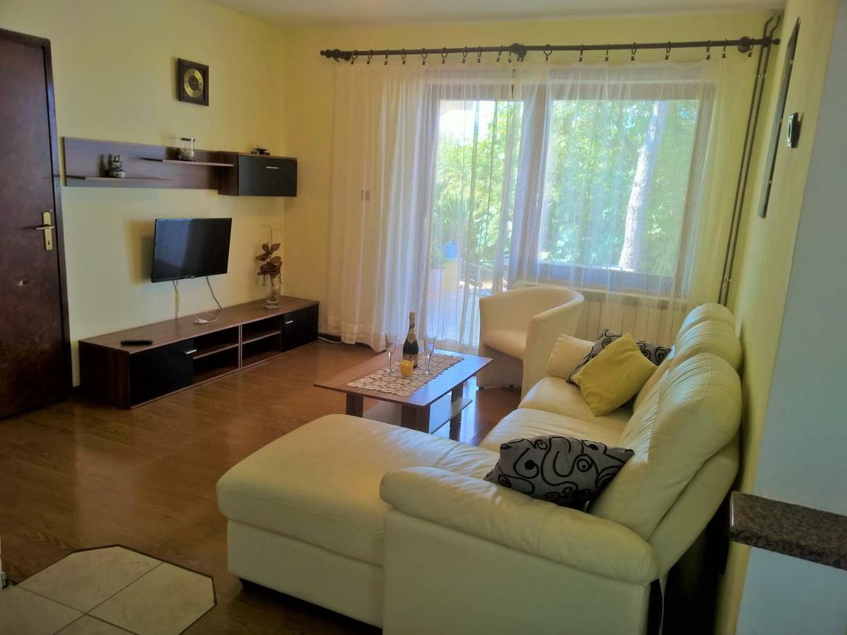 Lavanda Gabonjin Bagian luar foto
