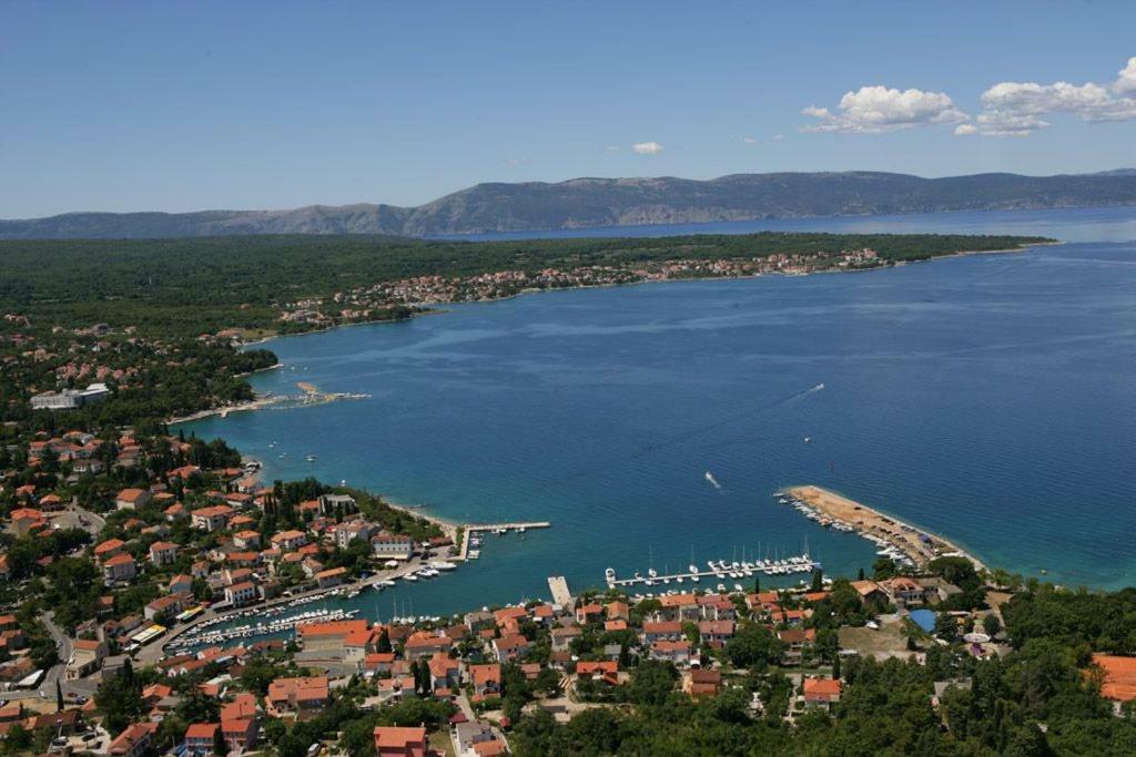 Lavanda Gabonjin Bagian luar foto